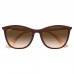 Óculos de Sol RAY BAN 4317L 639413 