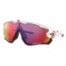 Óculos de Sol OAKLEY 9290 005 
