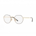 Óculos de Sol RAY BAN 6465L 2991