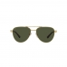 Óculos de Sol PERSOL 1003S 515/31