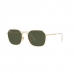 Óculos de Sol RAY BAN 3694 001/31