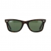 Óculos de Sol RAY BAN 2140 902