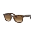 &Oacute;culos de Sol RAY BAN 0RB4340 710/M2