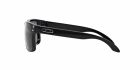 Óculos de Sol OAKLEY 9102L 02 