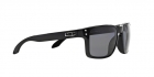 Óculos de Sol OAKLEY 9102L 02 