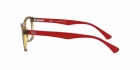 Armação RAY BAN 7095L 5653 