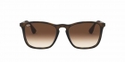 Óculos de Sol RAY BAN 4187L 856/13 