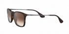 Óculos de Sol RAY BAN 4187L 856/13 
