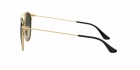 Óculos de Sol RAY BAN 3546 187/71- 