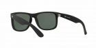 Óculos de Sol RAY BAN 4165L 622/71 