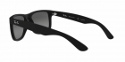 Óculos de Sol RAY BAN 4165L 622/T3 