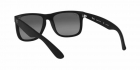 Óculos de Sol RAY BAN 4165L 622/T3 