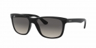 Óculos de Sol RAY BAN 4181 601/71 