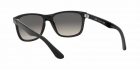 Óculos de Sol RAY BAN 4181 601/71 
