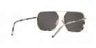 Óculos de Sol DOLCE GABBANA 2193J 488/87 