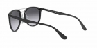 Óculos de Sol RAY BAN 4285 601/8G 