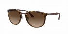 Óculos de Sol RAY BAN 4299 710/13 