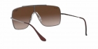 Óculos de Sol RAY BAN 3697 004/13 