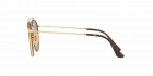 Óculos de Sol RAY BAN 3647NL 001 