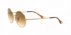 Óculos de Sol RAY BAN 1970 914751 