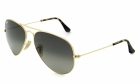 Óculos de Sol RAY BAN 3025L 181/71 