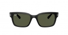 Óculos de Sol RAY BAN 2190 901/31 