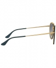 Óculos de Sol RAY BAN 3614N 91400S 