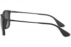 Óculos de Sol RAY BAN 4187L 662/8G 