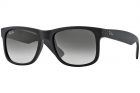 Óculos de Sol RAY BAN JUSTIN 4165L 601/8G 