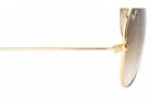 Óculos de Sol RAY BAN RB3025L 001/51 