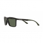 Óculos de Sol EMPORIO ARMANI 4170 501771