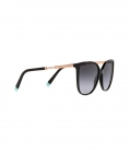 Óculos de Sol TIFFANY & CO 4184 80013C