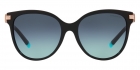 Óculos de Sol TIFFANY & CO 4193B 80019S