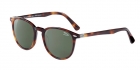 Óculos de Sol JAGUAR 37271 6311