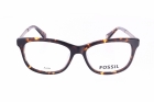 Armação FOSSIL 7025 086