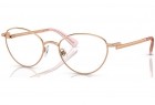 Armação SWAROVSKI 1002 4014