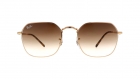 Óculos de Sol RAY BAN 3694 001/51