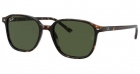Óculos de Sol RAY BAN 2193 902/31