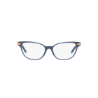 Armação TIFFANY & CO 2223B 8315
