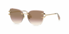 Óculos de Sol ROBERTO CAVALLI 043 8FCG 62