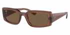 Óculos de Sol RAY BAN 4395 6678/73