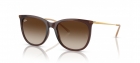Óculos de Sol RAY BAN 4403L 669013
