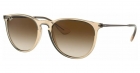 Óculos de Sol RAY BAN 4171 651413