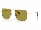 Óculos de Sol RAY BAN 3758 9213/2