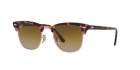 Óculos de Sol RAY BAN 3016 133751