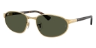 &Oacute;culos de Sol RAY BAN 3777 001/31