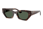 &Oacute;culos de Sol RAY BAN 4430 135971